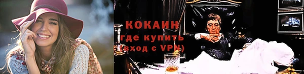 прущие грибы Нязепетровск