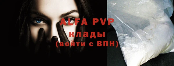 прущие грибы Нязепетровск