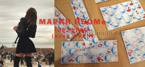 прущие грибы Нязепетровск