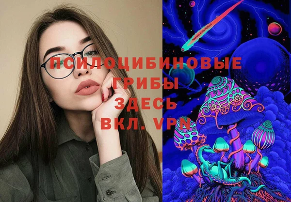прущие грибы Нязепетровск