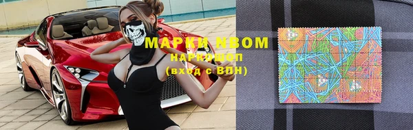 прущие грибы Нязепетровск