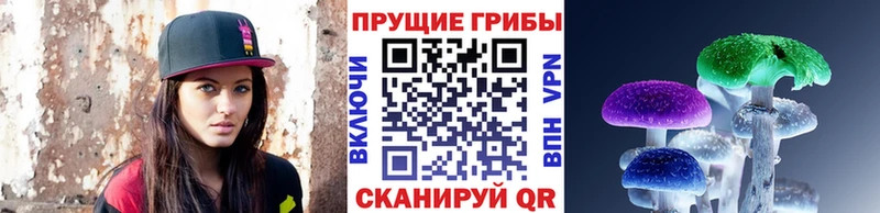 закладка Петушки мориарти формула Галлюциногенные грибы Cubensis