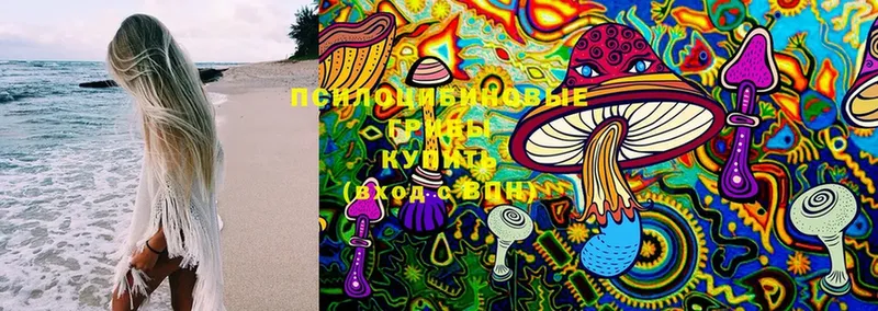 Псилоцибиновые грибы Cubensis  Петушки 